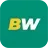 Logo Betwinner