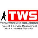 Logo TeamWorkingSolutions