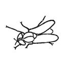 Logo Den Daas Vioolbouw