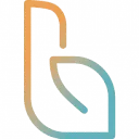 Logo Bright Visual Branding