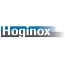 Logo Hoginox NL AND BE