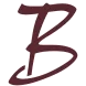 Logo V.D. Berg