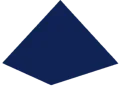 Logo Solid Executives