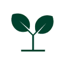 Logo Steenbreek