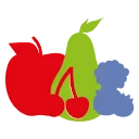 Logo FRUITVOORUIT.NL