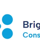 Logo Bright Impact Consulting