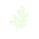 Logo van Grace AND Goode