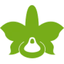 Logo De Hoog Orchids