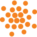 Logo Nedspice
