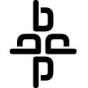 Logo Bridge Polymers BV