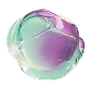Logo InSpace