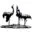 Logo Bert Denneman Beelden