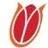 Logo Rugby Academy Zuid