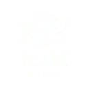Logo De Ark Haarlem Stichting Arkgemeenschap regio Haarlem