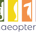 Logo Study Association Archaeopteryx