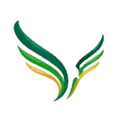 Logo AcademicVision