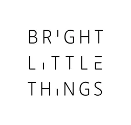 Logo van Bright Little Things
