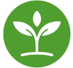 Logo GNT Ventures