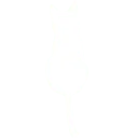 Logo SocialGatto