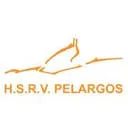 Logo H.S.R.V. Pelargos