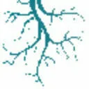 Logo Rhizosphere Research Products
