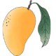 Logo van Mango deSign Webdesign