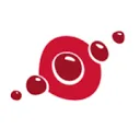Logo Redwell Store Friesland