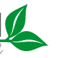 Logo Beraca Business Support
