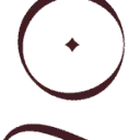 Logo Tiger Lily