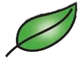 Logo Storm Students Consultancy