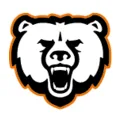 Logo Bear Attachments