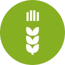 Logo Aminola