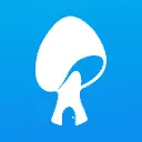 Logo Musjroom