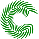 Logo Cycas Capital