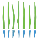 Logo Bright Water Company
