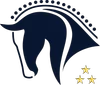 Logo CSI Eindhoven