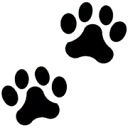 Logo Dierenwelzijnscentrum Adventure