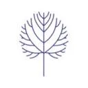 Logo Lindenbaum-Litigators