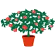 Logo van Kwekerij Souman