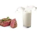 Logo Cellulaire Agricultuur Nederland