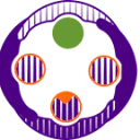 Logo Social Climate Tech