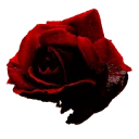 Logo van JustSimy