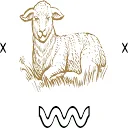 Logo Schaapskooi de Loobeek