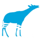 Logo Oqapi Software
