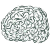 Logo Neurogen Brain Balancing Netherlands