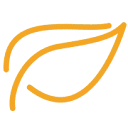 Logo Brightskills