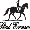 Logo Stal Ermelo