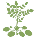 Logo De Aardappelboer