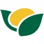Logo Averis
