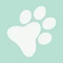 Logo Pets4Care natuurlijke en dierbare ontmoetingen